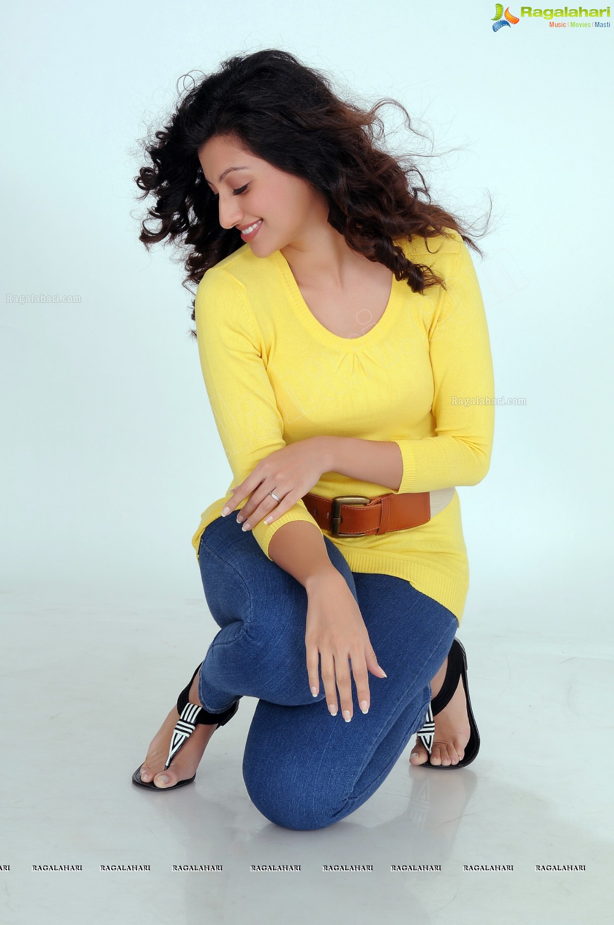 Hamsa Nandini (Portfolio)