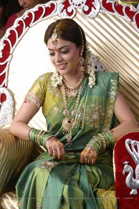 Nisha Agarwal