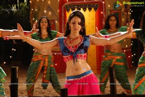 Pooja Bose