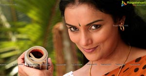 Rathinirvedam Hot Chechi Swetha Menon in Saree