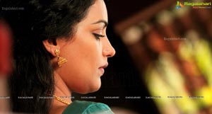 Rathinirvedam Hot Chechi Swetha Menon in Saree