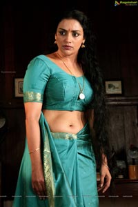 Rathinirvedam Hot Chechi Swetha Menon in Saree