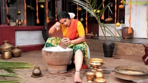 Rathinirvedam Hot Chechi Swetha Menon in Saree
