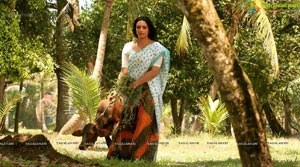 Rathinirvedam Hot Chechi Swetha Menon in Saree