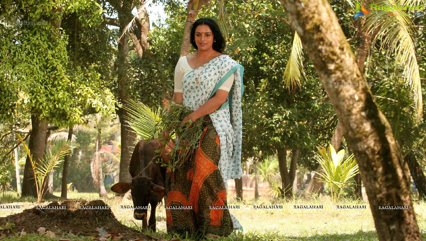 Shweta Menon (Posters)