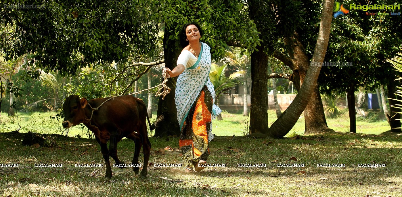 Shweta Menon (Posters)