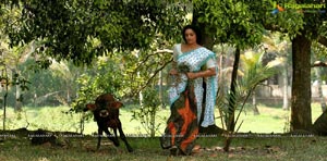 Rathinirvedam Hot Chechi Swetha Menon in Saree