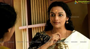 Rathinirvedam Hot Chechi Swetha Menon in Saree