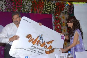 Balupu Logo Launch