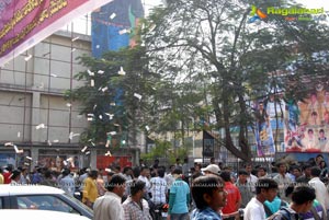 Naayak Hungama at Sandhya 70 MM