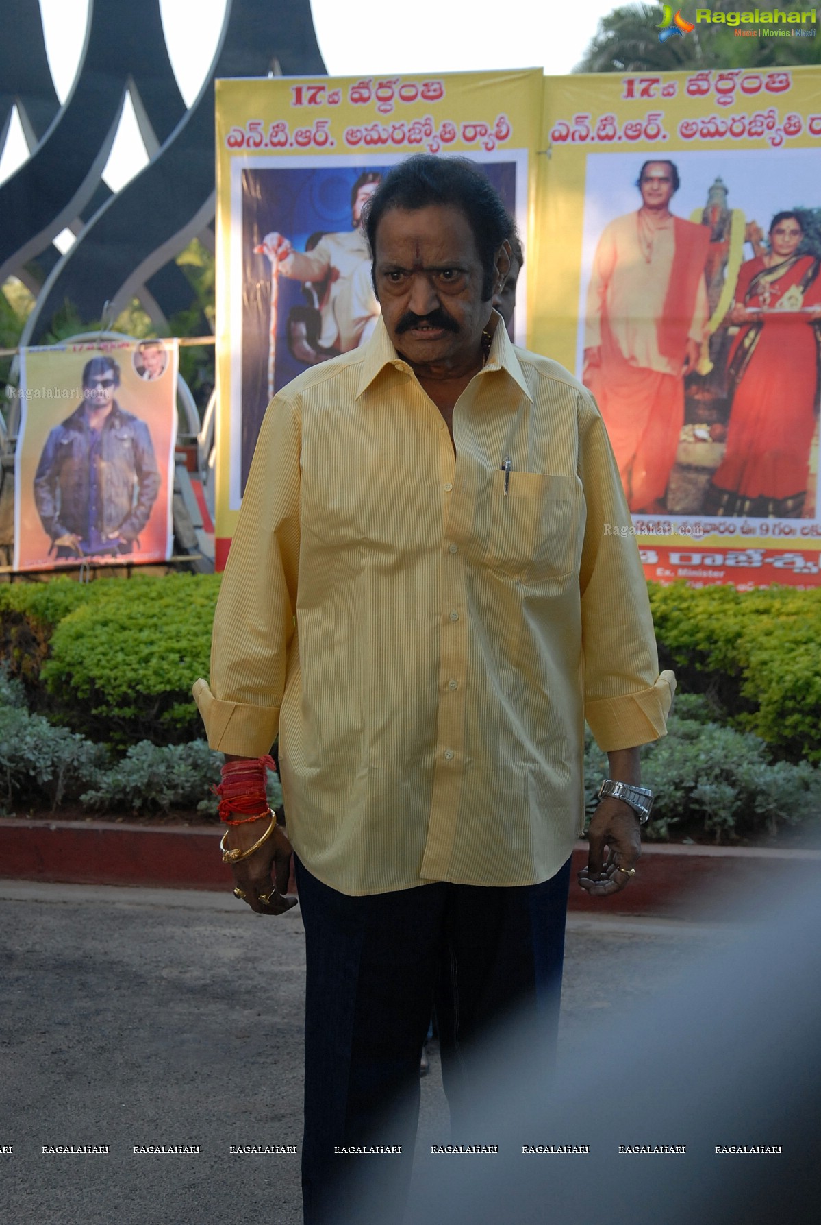 NTR Vardhanthi 2013