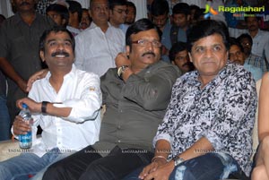 Ongole Githa Audio Release