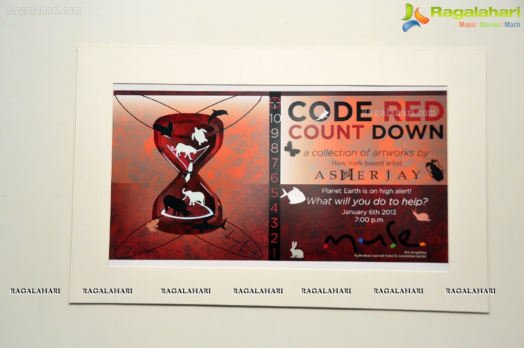 Asher Jay's Code Red Countdown Art Exhibition at Muse Art Gallery, Hyderabad
