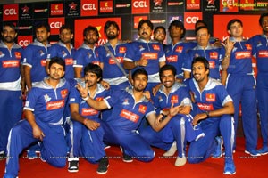 Celebrity Cricket League 2013