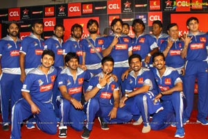 Celebrity Cricket League 2013