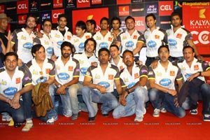 Celebrity Cricket League 2013