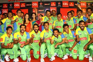 Celebrity Cricket League 2013