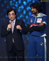 Celebrity Cricket League 2013