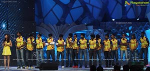 Celebrity Cricket League 2013