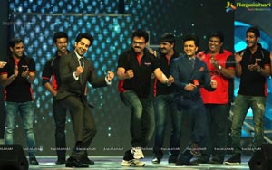 Celebrity Cricket League 2013