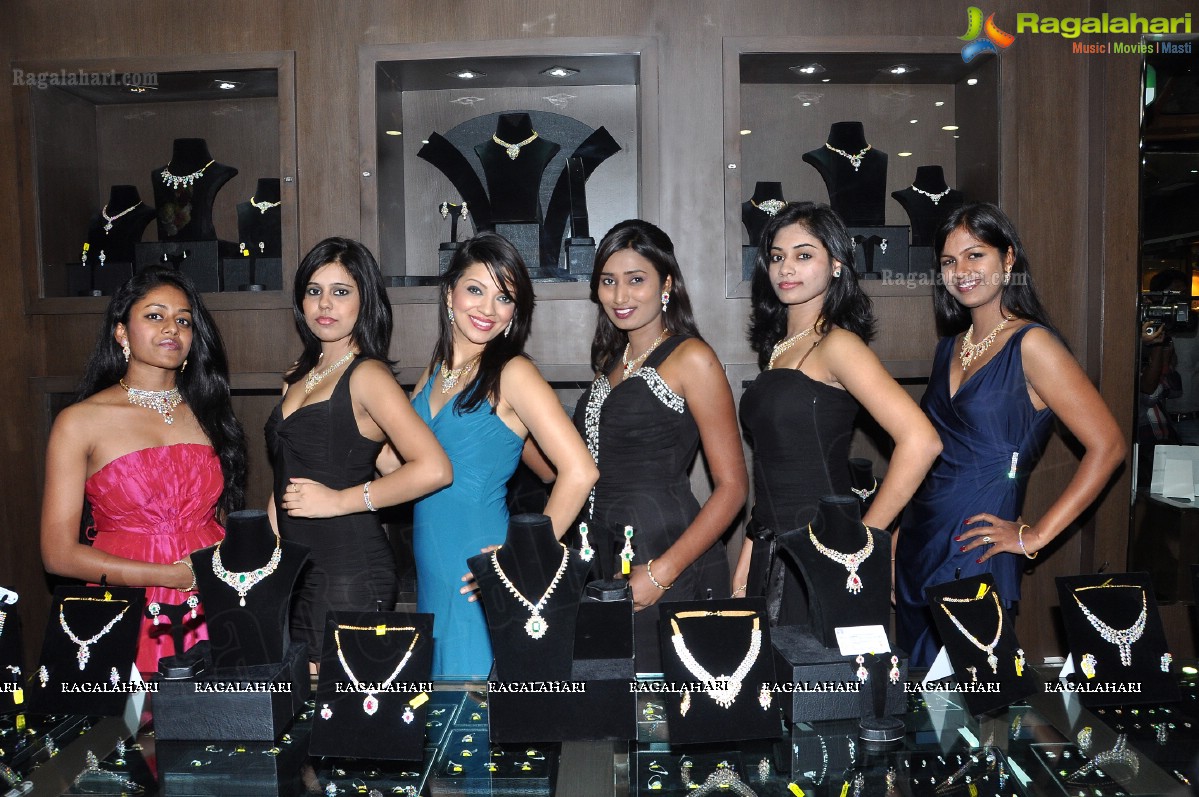 Manepally Jewellers 2013 Bridal Diamond Jewellery Collection Launch, Secunderabad