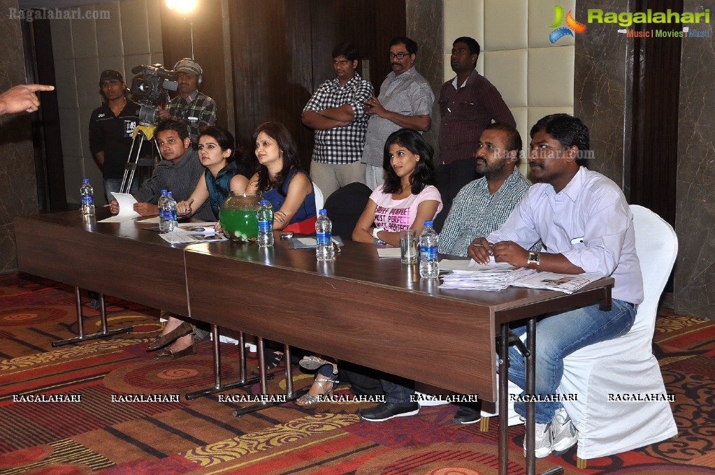 Mr n Miss Andhra Pradesh 2013 Auditions