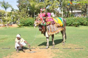 Radio Mirchi Sankranthi Sambaralu 2013