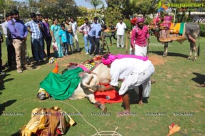 Radio Mirchi Sankranthi Sambaralu 2013