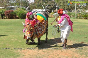 Radio Mirchi Sankranthi Sambaralu 2013