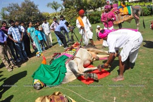 Radio Mirchi Sankranthi Sambaralu 2013