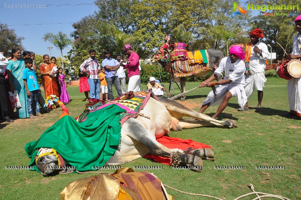 Radio Mirchi Sankranti Sambaralu