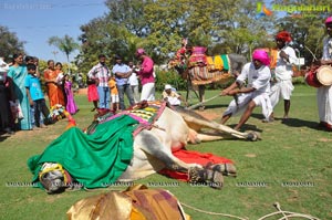 Radio Mirchi Sankranthi Sambaralu 2013