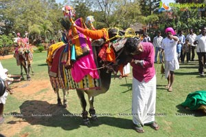 Radio Mirchi Sankranthi Sambaralu 2013