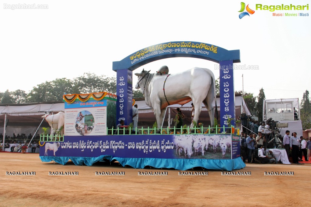 Republic Day Parade 2013 at Secunderabad Parade Grounds