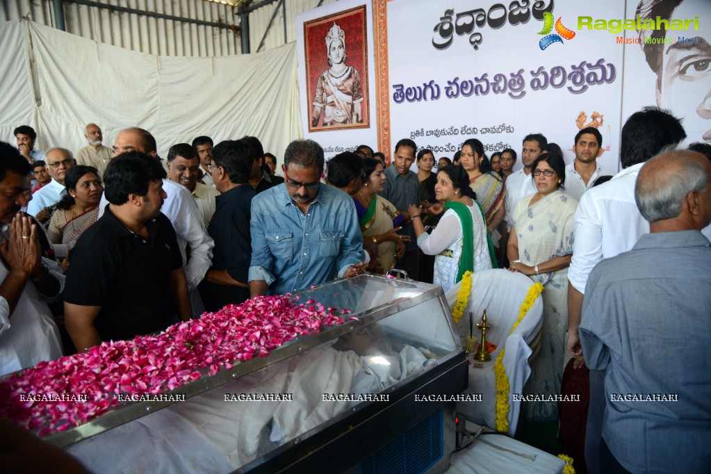 Celebrities pay homage to Dr. Akkineni Nageswara Rao	(Day 2)