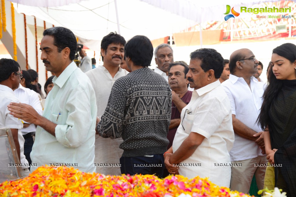 Celebrities pay homage to Dr. Akkineni Nageswara Rao	(Day 2)