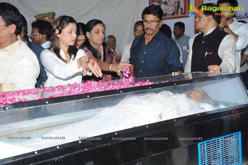 Celebrities pay homage to Dr. Akkineni Nageswara Rao	(Day 2)