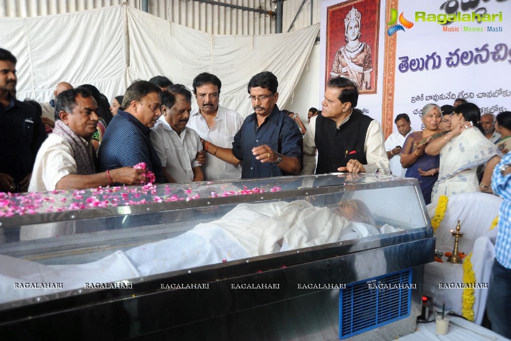 Celebrities pay homage to Dr. Akkineni Nageswara Rao	(Day 2)