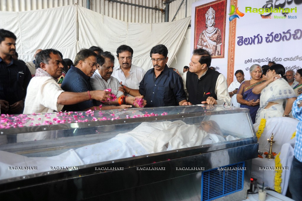 Celebrities pay homage to Dr. Akkineni Nageswara Rao	(Day 2)