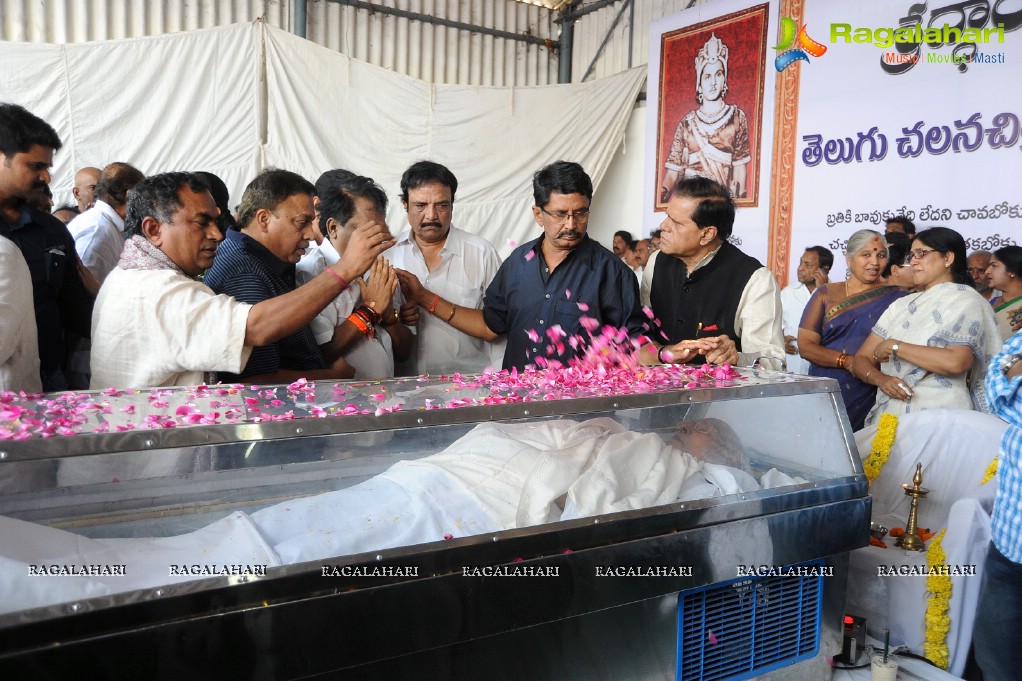 Celebrities pay homage to Dr. Akkineni Nageswara Rao	(Day 2)