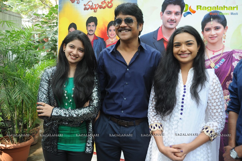 Annapurna Studios TV Serials Press Meet