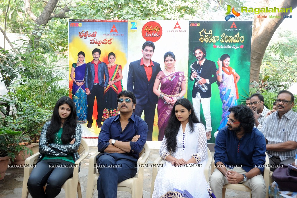 Annapurna Studios TV Serials Press Meet