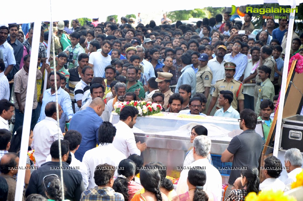 Celebrities pay homage to Dr. Akkineni Nageswara Rao