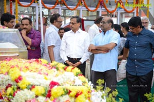 Celebrities pay homage to ANR