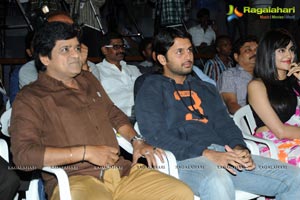 Heart Attack Audio Success Meet