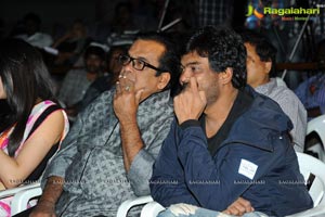 Heart Attack Audio Success Meet