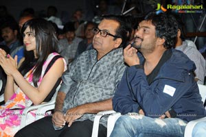 Heart Attack Audio Success Meet