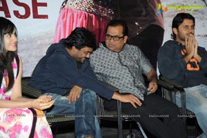 Heart Attack Audio Success Meet