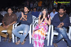 Heart Attack Audio Success Meet