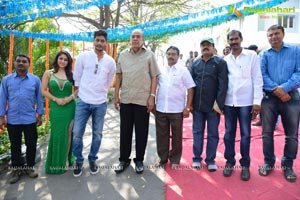 Prince-Ankita Sharma Film Muhurat